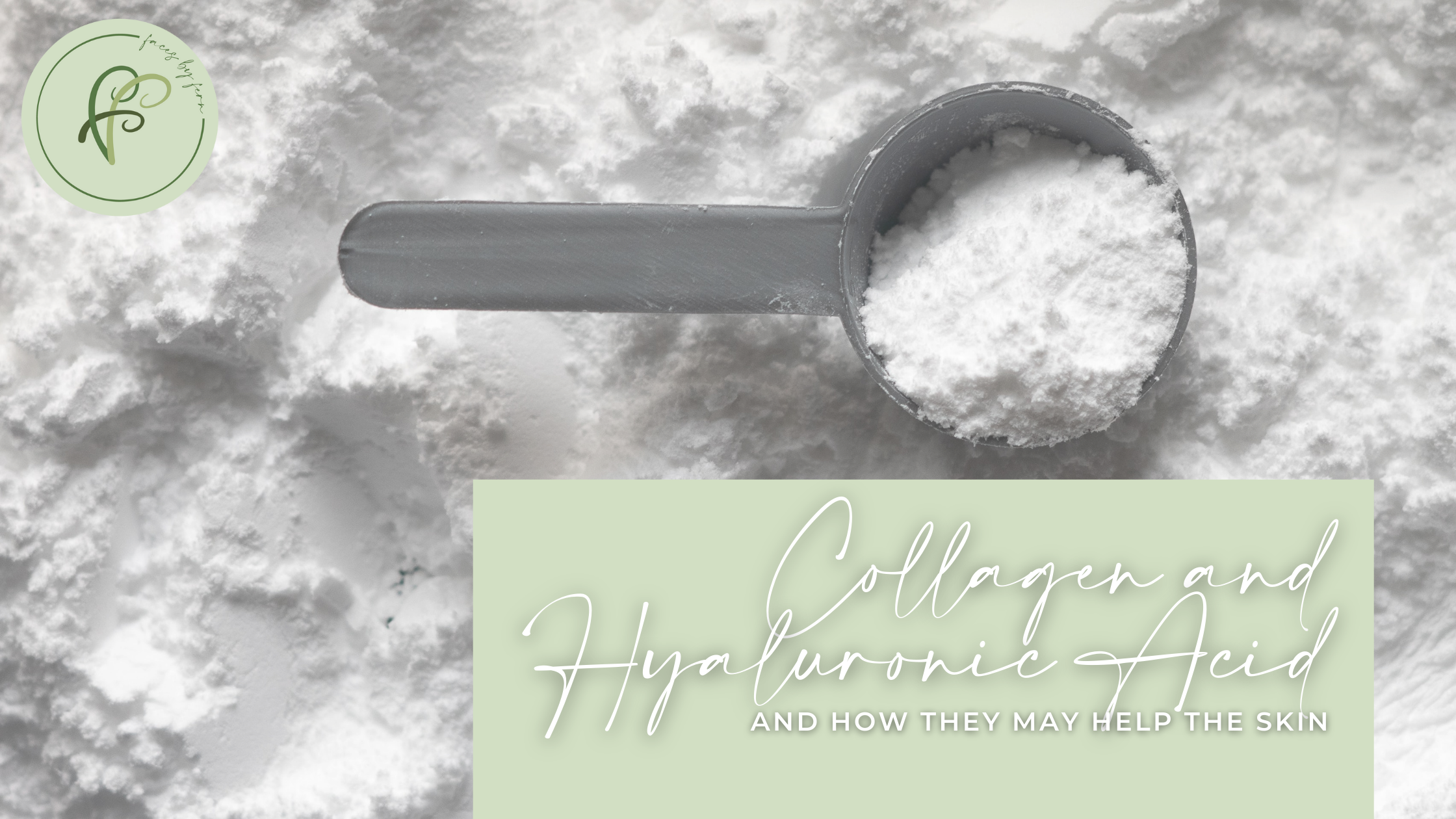 Do Collagen Powder and Hyaluronic Acid Supplements Improve Skin Health?