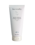 Barrier Repair Remedy Kit